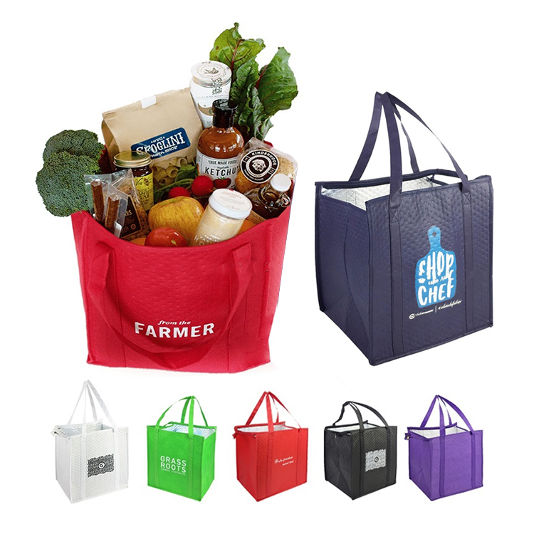 Professional Outdoor Luxury Insulated Cooler Bag for Food Delivery Customized Logo for Classic Lunch Wine Picnic Trave
