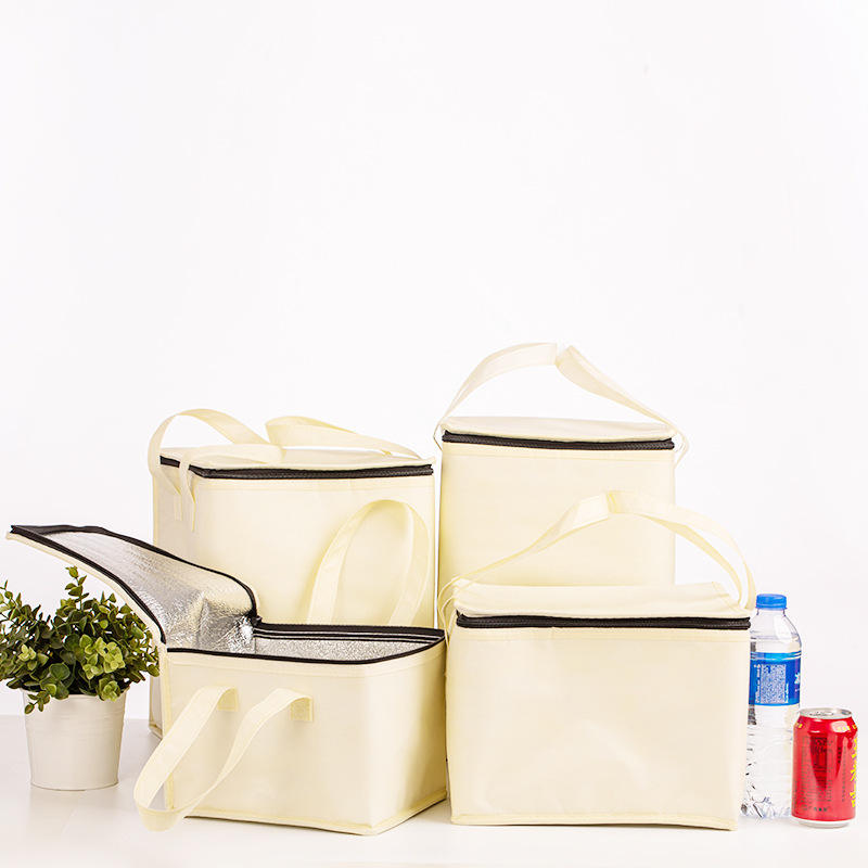 Professional Outdoor Luxury Insulated Cooler Bag for Food Delivery Customized Logo for Classic Lunch Wine Picnic Trave